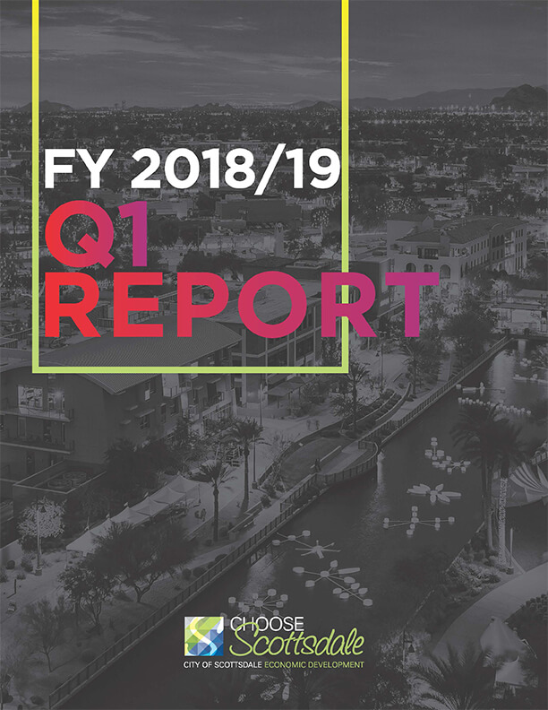 Cover image of fy 2018-19 Q1 Report